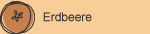 erdbeere